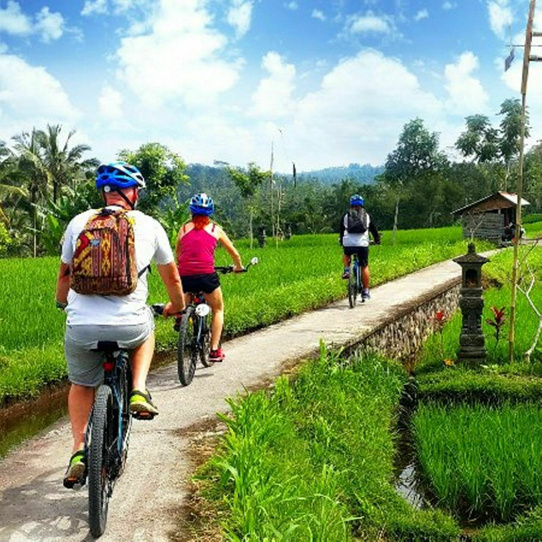 Omah D'Taman By Eps Hotell Ubud Exteriör bild